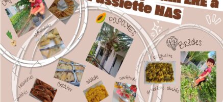 L&rsquo;enseignement professionnel en SEGPA: la section Hygiène Alimentation Service