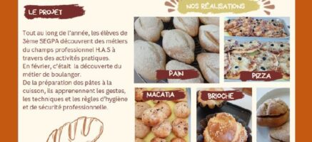 L&rsquo;enseignement professionnel en SEGPA : la section Hygiène Alimentation Service
