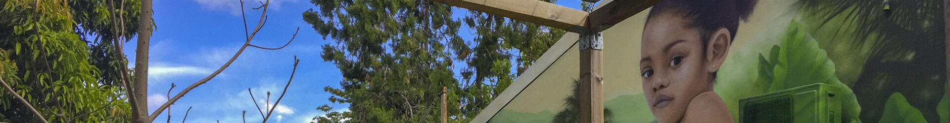 Un espace Potager au Collège