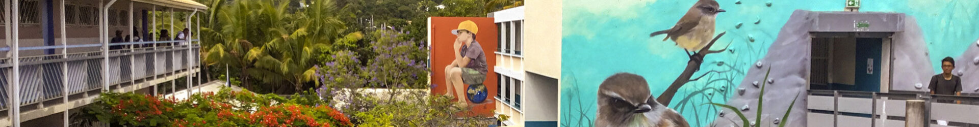 Week of langages 2025