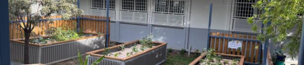 Un espace Potager au Collège