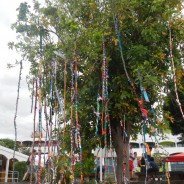 L’arbre longanime : une oeuvre en cours de réalisation