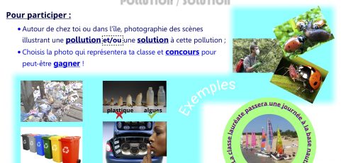 CONCOURS PHOTO 4ème : POLLUTIONS / SOLUTIONS