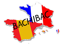 INTERVENTION SECTION BACHIBAC