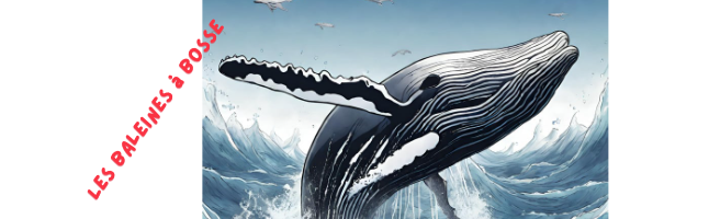 Thaïs remue les ondes : Tout sur les baleines à bosse ! Un podcast à écouter et ré-écouter…