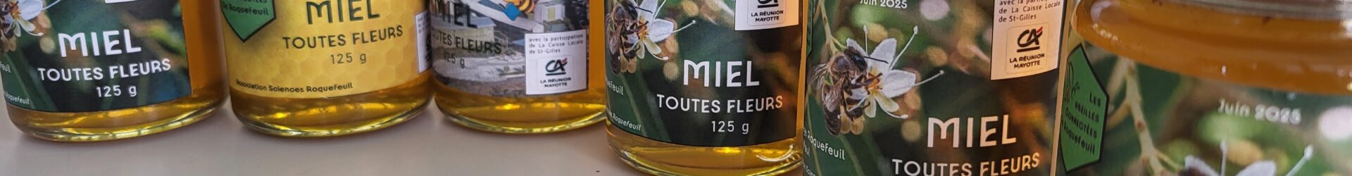 Les élèves du club apiculture récoltent leur tout premier miel