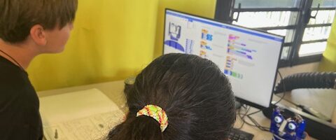 Sciences de l’Ingénieur : premiers pas avec le robot humanoïde.