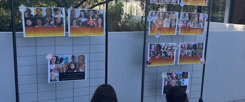 Journée internationale de lutte contre les violences faites aux femmes