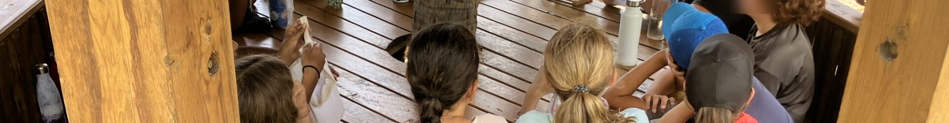 Jeunes ambassadeurs du récif : les écodélégués en action !