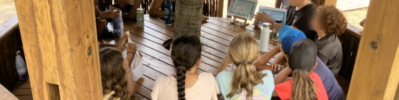 Jeunes ambassadeurs du récif : les écodélégués en action !