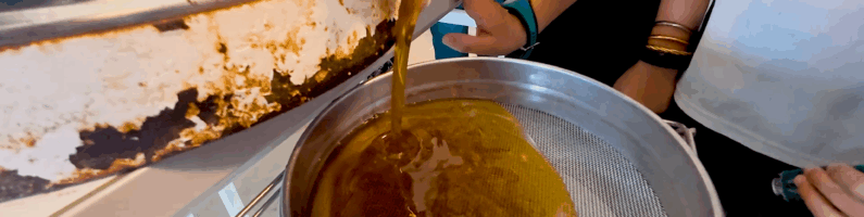 🐝 Deuxième récolte de miel pour le club Apiculture !