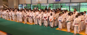 judo_art_champunss_2014