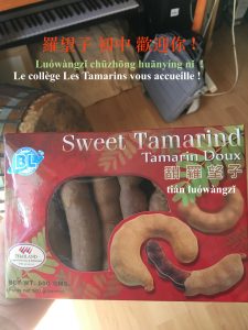 tamarins-doux-tian-luowangzi