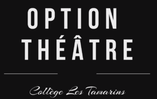 Présentation de l’Option Théâtre – Collège Les Tamarins