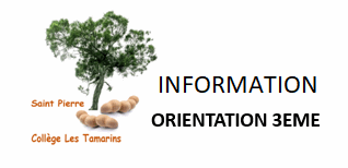 Guide pratique : Comment saisir vos intentions d’orientation