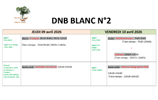 DNB BLANC N°2