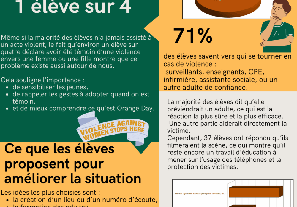 Enquête des 3e Prepa métier sur l’Orange Day