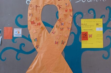 Le collège Terrain Fayard se mobilise pour l’Orange Day