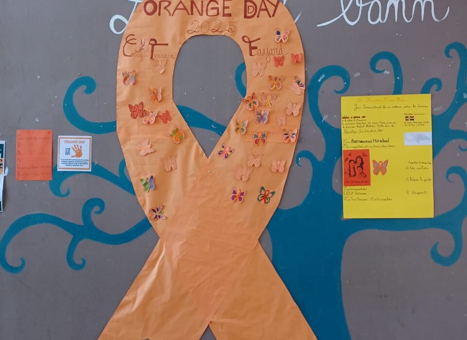 Le collège Terrain Fayard se mobilise pour l’Orange Day