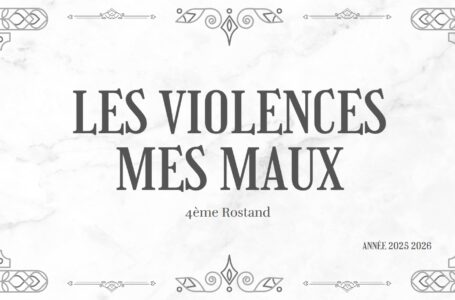 Les violences mes maux