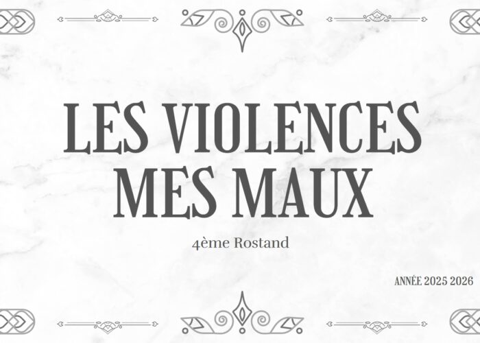 Les violences mes maux