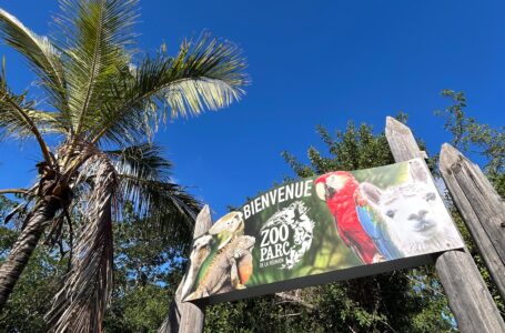 Une journée enrichissante au Zoo Parc de l&rsquo;Étang-Salé