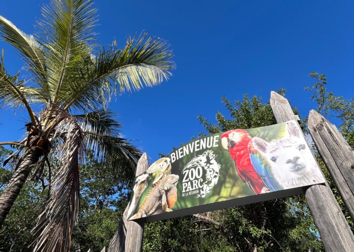 Une journée enrichissante au Zoo Parc de l&rsquo;Étang-Salé