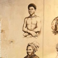 Classe découverte : Plongée dans l’histoire de la Réunion