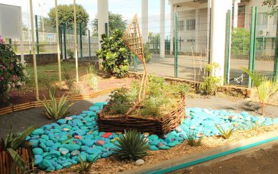 Conseils de classe du premier trimestre