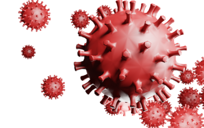 Reprise du lundi 22 juin 2020