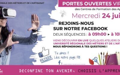 Journée Portes Ouvertes Virtuelles