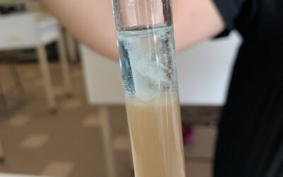 Extraction de l&rsquo;ADN