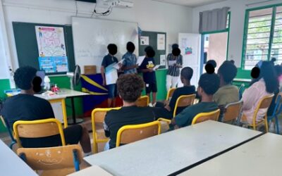 Somènn kréol dann kolèz !