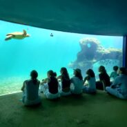 Notre premier jour à La Réunion 