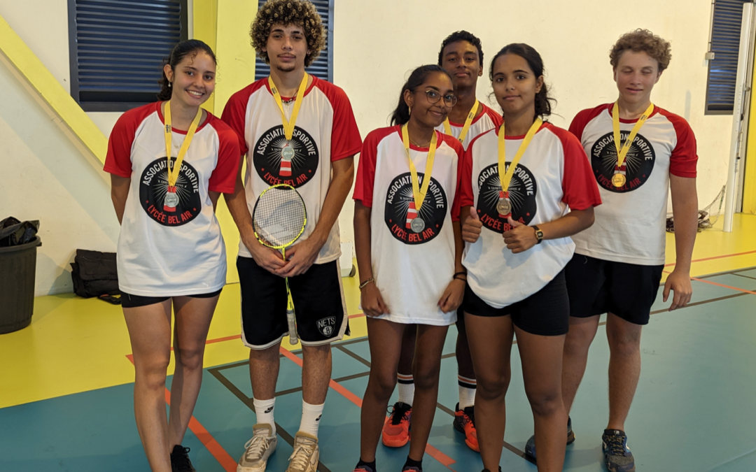 Finale Académique de Badminton.