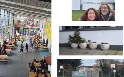 JOB SHADOWING IRLANDE – Dublin 