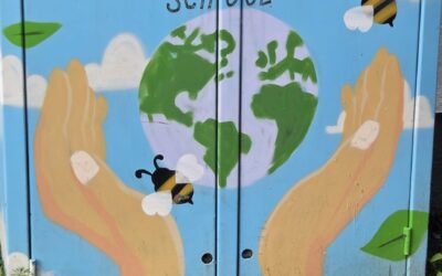 L’école irlandaise, un exemple d’inclusion scolaire 