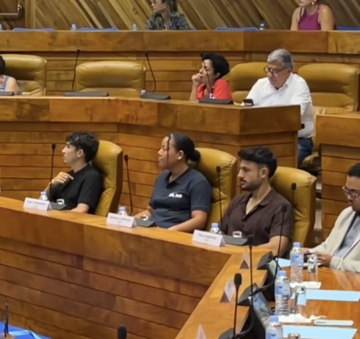 Chaka dans l'Hémicycle