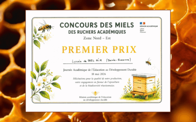 LE MEILLEUR MIEL DU NORD/EST ! 🍯