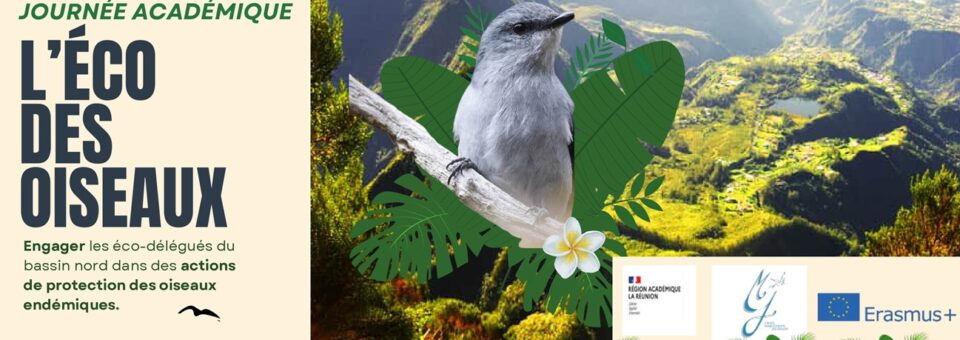 Mardi 9 avril 2024, le lycée accueille la journée académique l’Eco des oiseaux.