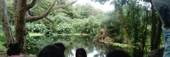 Bilan EDD 2020 2021 au lycée E. Parny