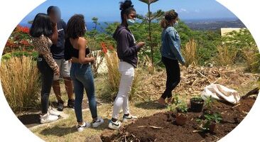 PROJET PARTERRE DE PLANTES MEDICINALES