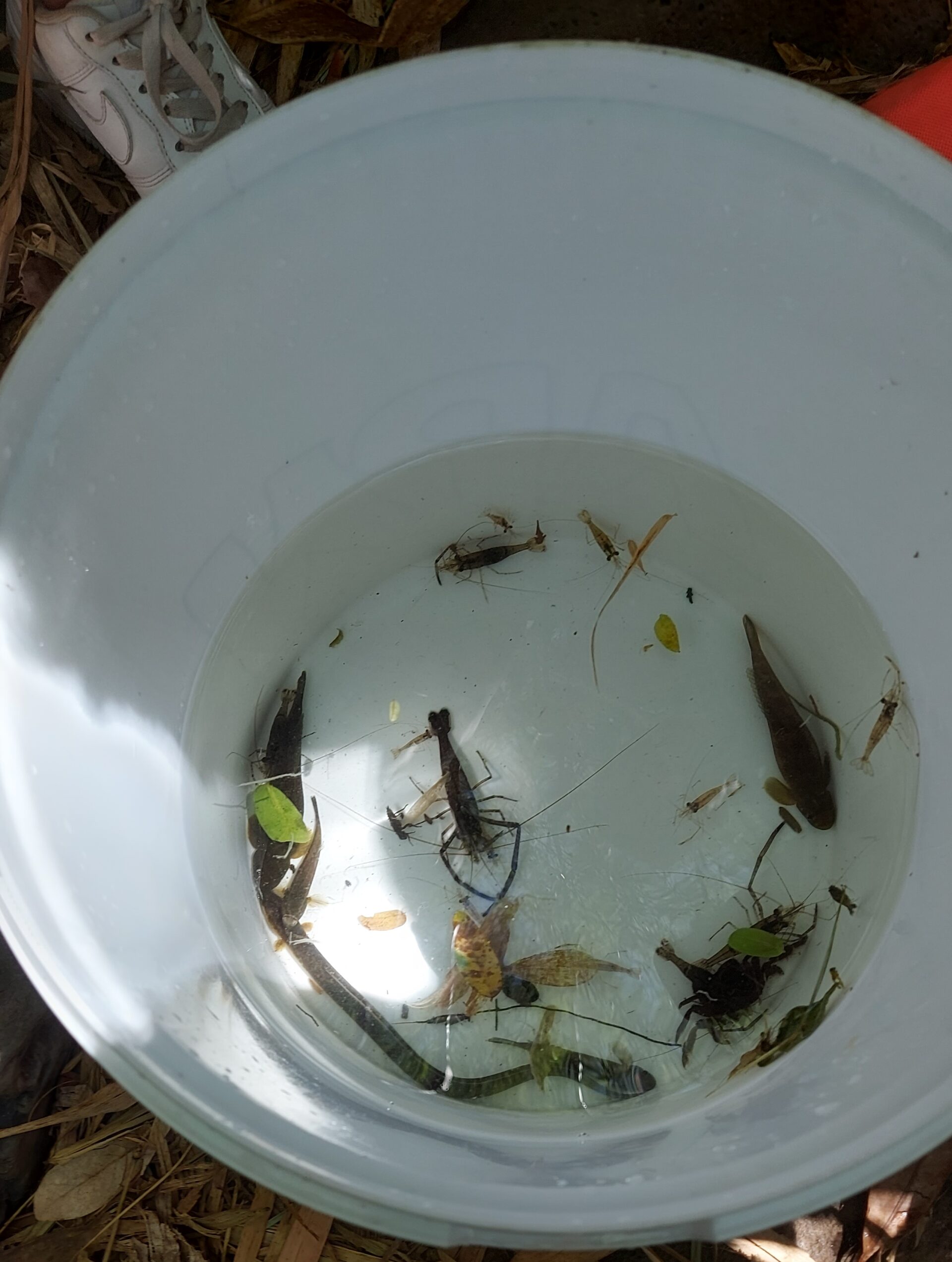 QUELQUES PROJETS EDD DU PREMIER TRIMESTRE