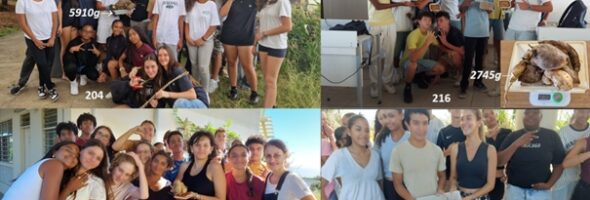 Une récolte de plus de 12 kg de patates douces!