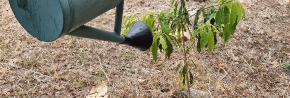 Action de participation de la 207 à la Semaine Européenne du Développement Durable