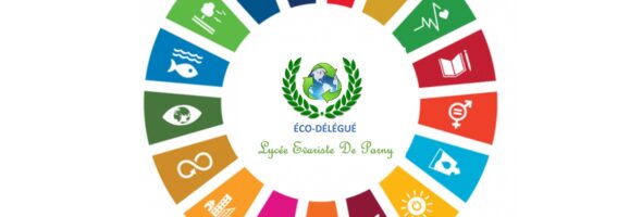 EDD au lycée au premier trimestre