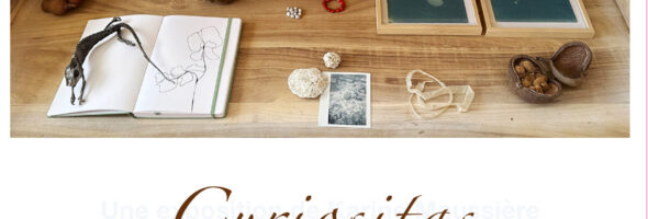 ELRO – « Curiositas » de Karine Maussière