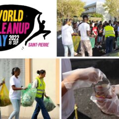 Leur mission : Opération « World Clean Up Day »