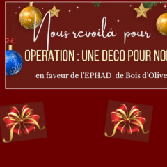 Opération : une déco pour Noël, jusqu’au 28 novembre