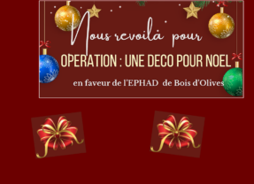 Opération : une déco pour Noël, jusqu’au 28 novembre